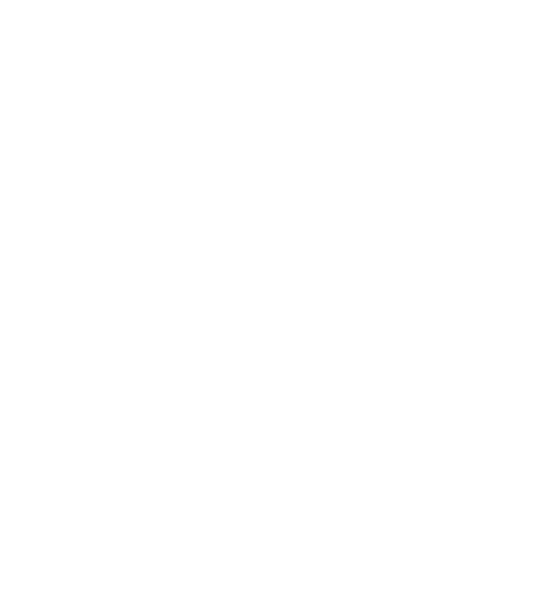 LAS VEGAN white logo